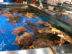 -盒马鲜生(杭州运河上街店)