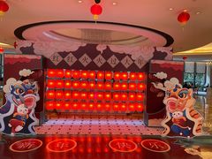 -同里湖度假村(二期店)