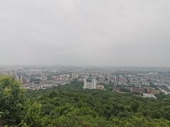 -杭州半山国家森林公园