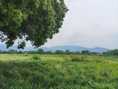 -良渚古城遗址公园