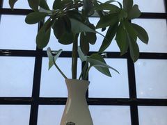 -福润德购物中心