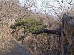 -天津盘山风景名胜区