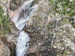 -海南霸王岭国家森林公园