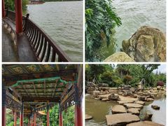 -洛龙公园