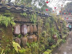 -青城甲(青城山店)