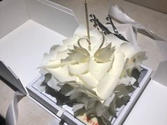 -BLACKSWAN黑天鹅(环球店)