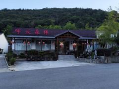 -呼吸森林·生态农庄农家乐私房菜