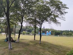 -宜兴龙背山森林公园