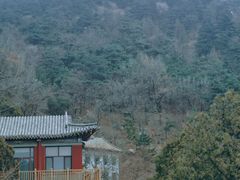 -泰山风景名胜区