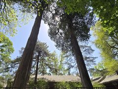 -潭柘寺景区