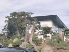 -罗红摄影艺术馆