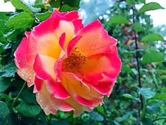 -芜湖方特东方神画