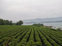 -横山水库