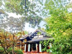 -望江楼公园