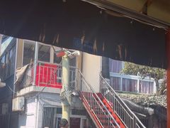 -晓琦农家菜馆·地道农家菜