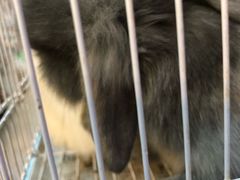 -双季花艺园艺市场(浦东店)