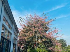 -凤阁楼果木烧鹅(鹤山陈山店)