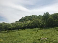-大水川景区