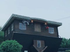 -金山农民画村-枫泾波兰倒置屋