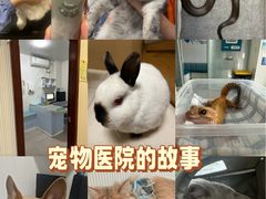 -守诺宠物医院·眼科· 神经外科·爬宠专科(虹口店)
