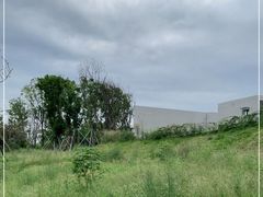 -三圣花乡旅游区