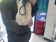 -申普宠物医院·眼科·心内科·影像科(普陀分院)