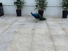 -西昌邛海宾馆