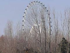-日照海滨国家森林公园