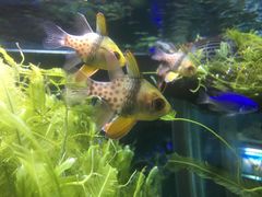 -太平洋海底世界