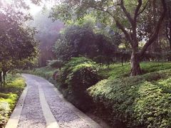 -大渡口区义渡公园