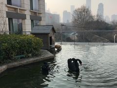 -行者书屋大堂吧 ·下午茶(南京圣和府邸酒店)