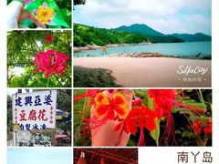 -南丫岛