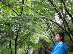 -牛背梁国家森林公园