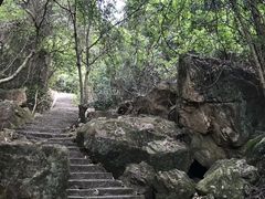 -东莞市大岭山森林公园