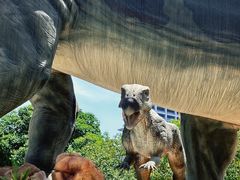 -陕西自然博物馆