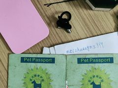-芭比堂动物医院广州顽皮分院