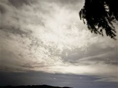 -罗莎蛋糕(魔法师司门口店)