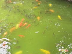-柳侯公园