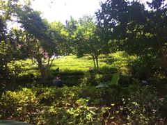 iphone_upload_pic-东部华侨城