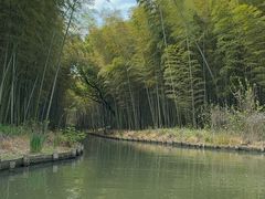 -同里国家湿地公园