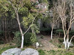 -善园(月湖盛园店)