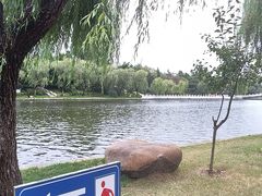 -莱西月湖公园