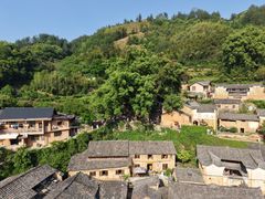 -杨家堂村