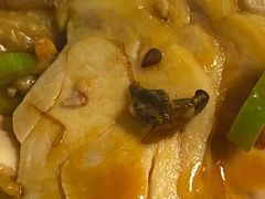 -天天渔港(杏林街店)