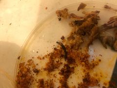 -厕所串串(文殊院店)