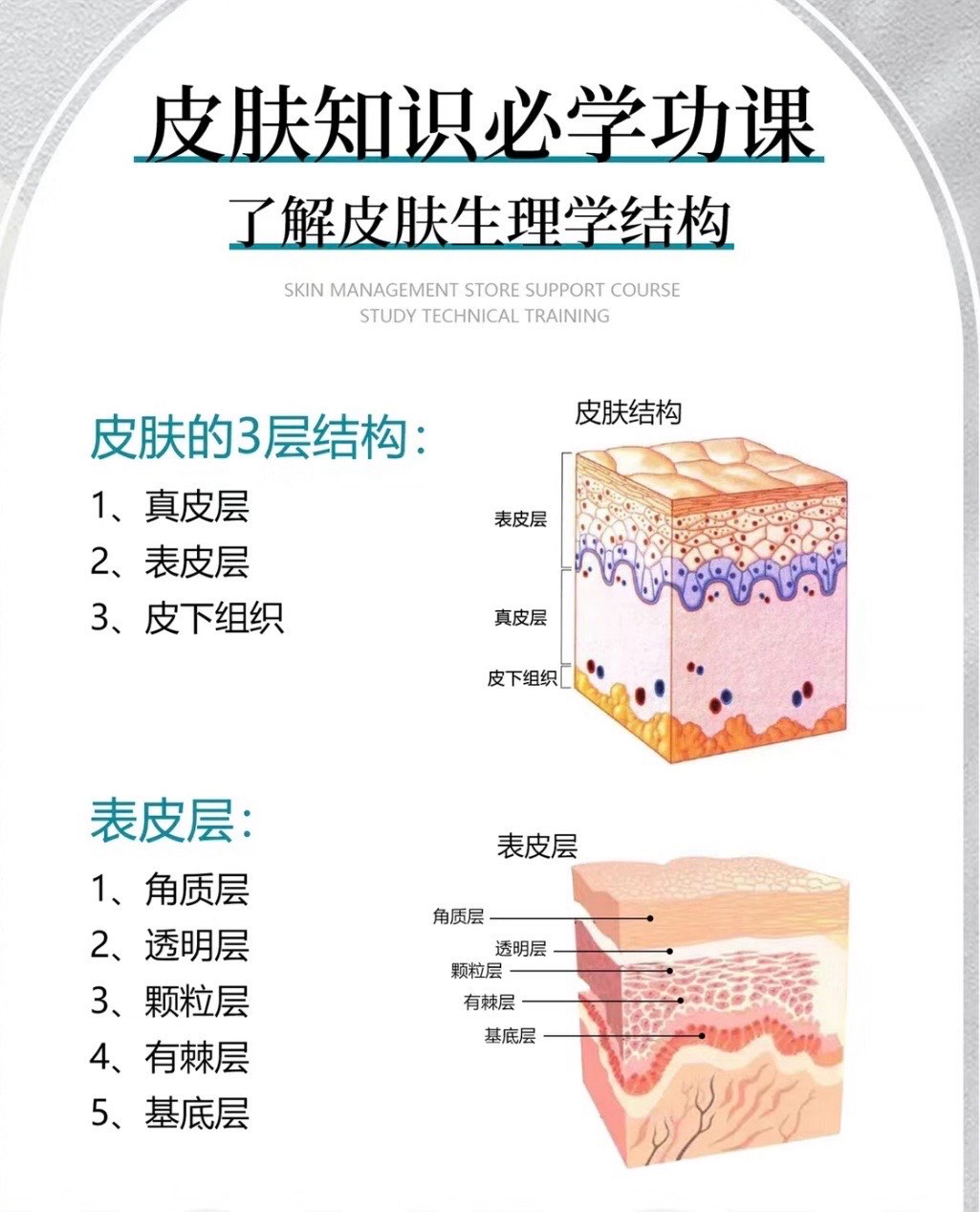 了解皮肤生理学