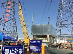 -中环花鸟鱼虫市场
