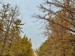 -辽宁大学(崇山校区)