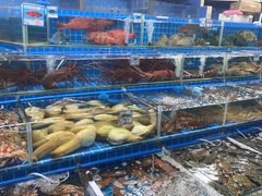 -新鸿港水果市场(三亚新鸿港国际商品交易中心店)