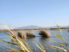 -野鸭湖国家湿地公园